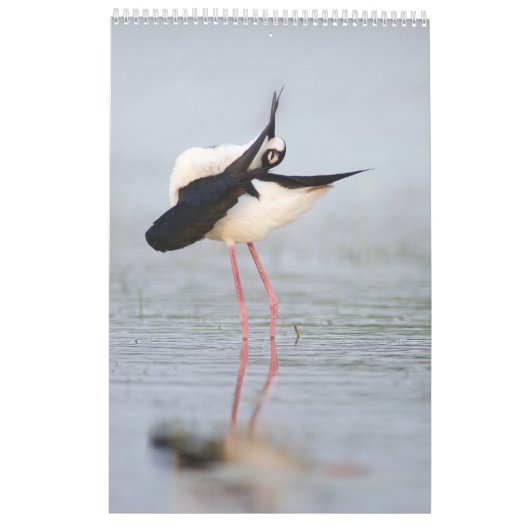 Mooie Birds Wall Calendar 2023 Kalender (Achterkant)