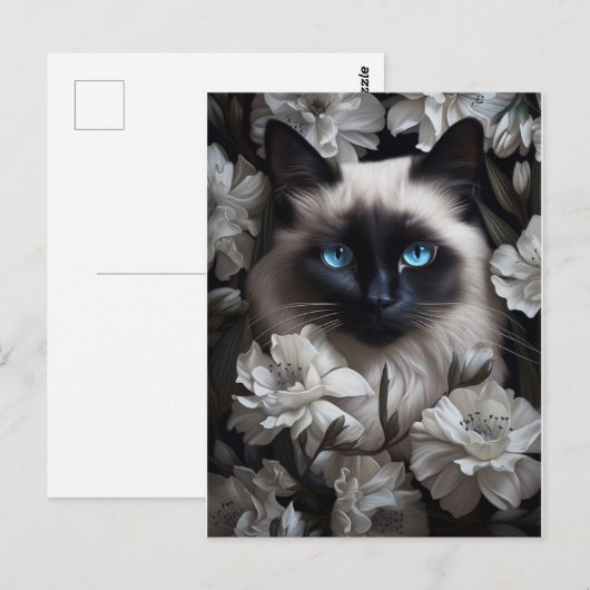 Mooie Birman kat onder witte bloemen Briefkaart (Voorkant / Achterkant)