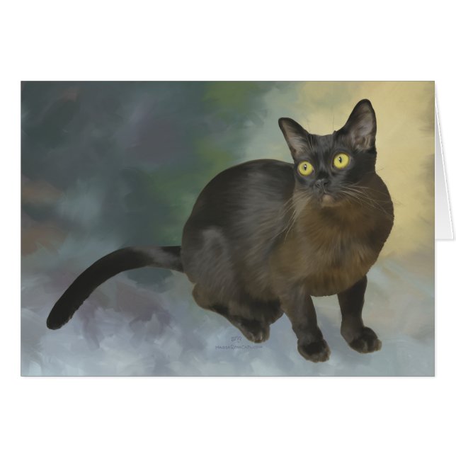 Mooie Birmese kat (Voorkant Horizontaal)