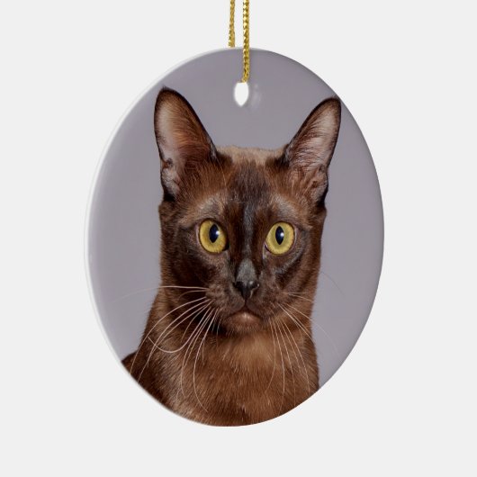 Mooie Birmese kat dicht Keramisch Ornament (Rechts)