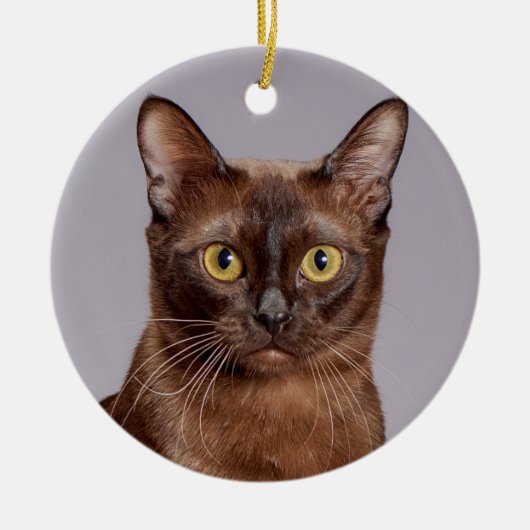 Mooie Birmese kat dicht Keramisch Ornament (Voorkant)