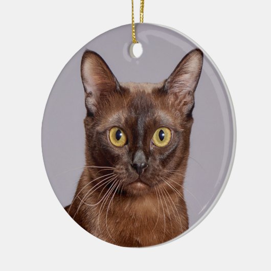 Mooie Birmese kat dicht Keramisch Ornament (Links)
