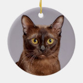 Mooie Birmese kat dicht Keramisch Ornament (Achterkant)