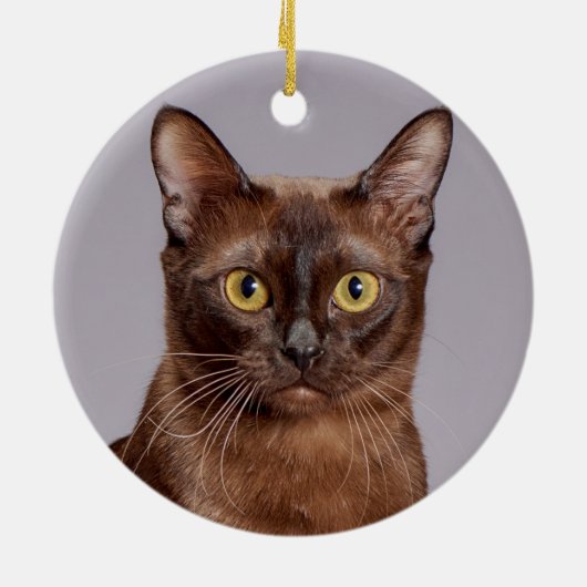 Mooie Birmese kat dicht Keramisch Ornament (Achterkant)