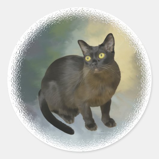 Mooie Birmese kat Ronde Sticker (Voorkant)