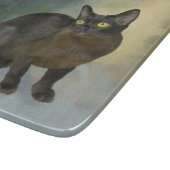 Mooie Birmese kat Snijplank (Hoek)