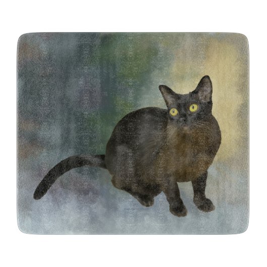 Mooie Birmese kat Snijplank (Voorkant)
