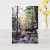 Mooie Birthday Wishes Kaart (Gele Bloem)