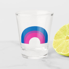 Mooie biseksuele gedenkwaardige vlag, regenboogzwa shot glas