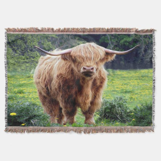 Mooie Bison Deken (Voorkant)