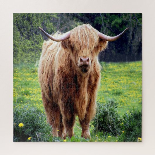 Mooie Bison Legpuzzel (Verticaal)