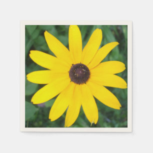 Mooie Black Eyed Susan Servetten