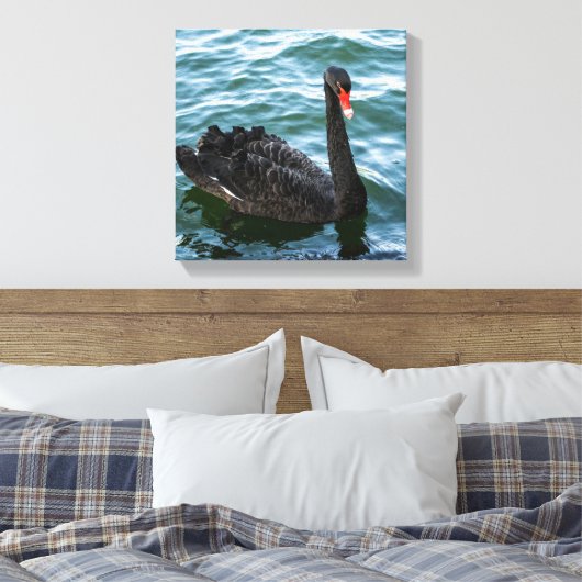 Mooie Black Swan Canvas Afdruk (Insitu (Slaapkamer))