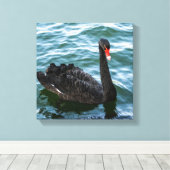 Mooie Black Swan Canvas Afdruk (Insitu (Houten vloer))