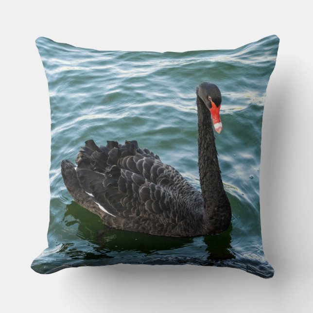 Mooie Black Swan Kussen (Voorkant)