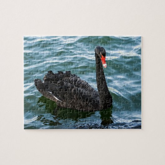 Mooie Black Swan Legpuzzel (Horizontaal)