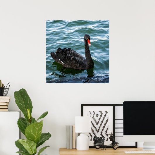 Mooie Black Swan Poster (Thuiskantoor)
