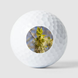 Mooie bladeren in lente foto golfballen