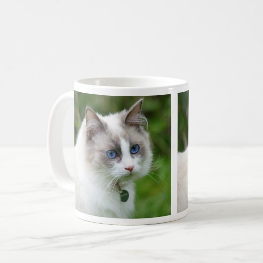 Mooie blauw-gele Ragdoll Kitten Koffiemok (Voorkant links)