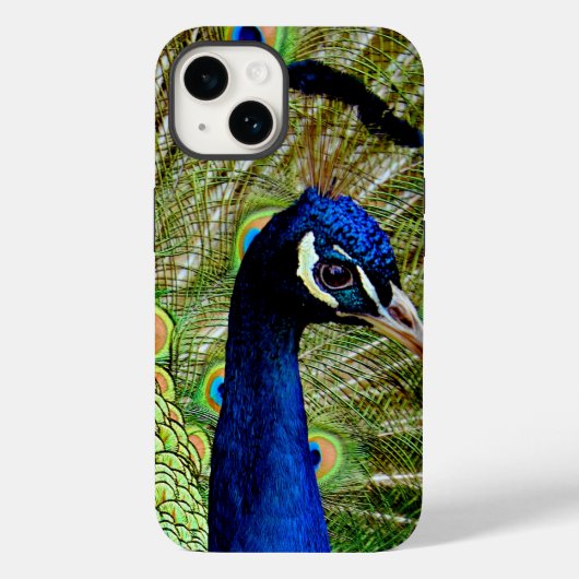 Mooie blauw groene pauw vogel Case-Mate iPhone case (Achterkant)