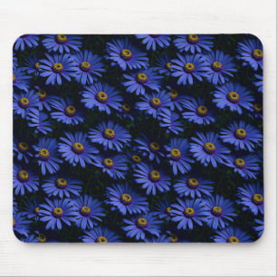 Mooie blauwe Asters Muismat