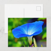 Mooie blauwe bloem briefkaart (Voorkant / Achterkant)