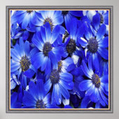 Mooie blauwe bloemen poster (Voorkant)