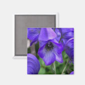 Mooie Blauwe Delphiniums Magneet (Voorkant / Achterkant)