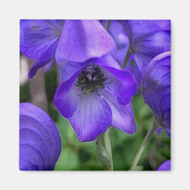 Mooie Blauwe Delphiniums Magneet