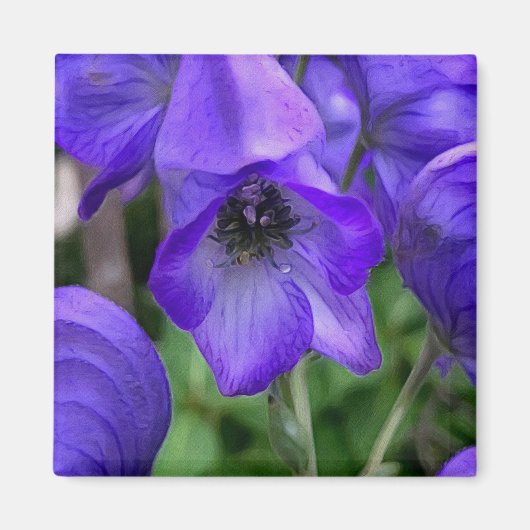 Mooie Blauwe Delphiniums Magneet (Voorkant)