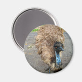 Mooie blauwe E-vogel foto Magneet (Voorkant / Achterkant)