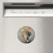 Mooie blauwe E-vogel foto Magneet (Insitu (Vaatwasser))