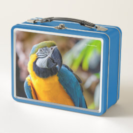 Mooie blauwe en gouden papegaai