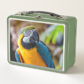 Mooie blauwe en gouden papegaai (Voorkant)