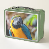 Mooie blauwe en gouden papegaai (Achterkant)