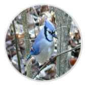 Mooie Blauwe Gaai Keramische Knop (Voorkant)
