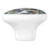 Mooie Blauwe Gaai Keramische Knop (Zijkant)