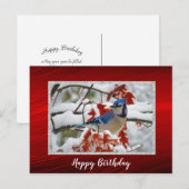 Mooie Blauwe Gaai Sneeuw Foto Verjaardag Briefkaart (Voorkant / Achterkant)