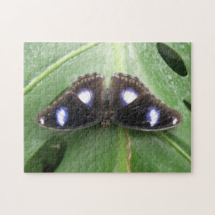 Mooie Blauwe Gespikkelde Vlinder Puzzel