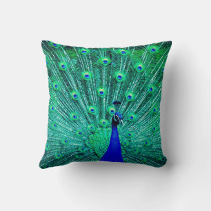 MOOIE BLAUWE GROENE GELE PAUW KUSSEN