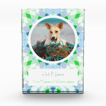 Mooie Blauwe Groene Huisdier Kat Hond Herdenkingsg