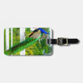 Mooie blauwe groene pauw vogel foto elegant bagagelabel (Voorkant horizontaal)