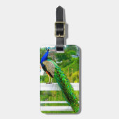 Mooie blauwe groene pauw vogel foto elegant bagagelabel (Voorkant verticaal)