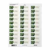 Mooie Blauwe Groene Vintage Pauw Adreslabels Etiket (Full Sheet)