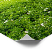 Mooie blauwe hemel en groen veld poster (Hoek)