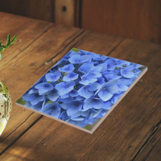 Mooie Blauwe Hortensia Bloem Bloemstuk Tegeltje