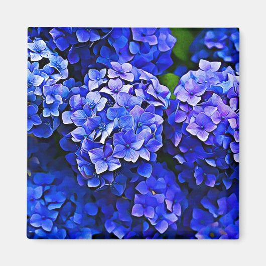 Mooie blauwe hortensia bloemen bloemenkunstmagneet magneet (Voorkant)