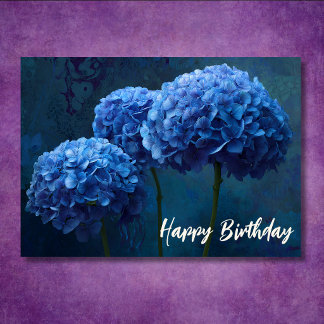 Mooie Blauwe Hortensia Bloemrijke Botanische Verja Kaart