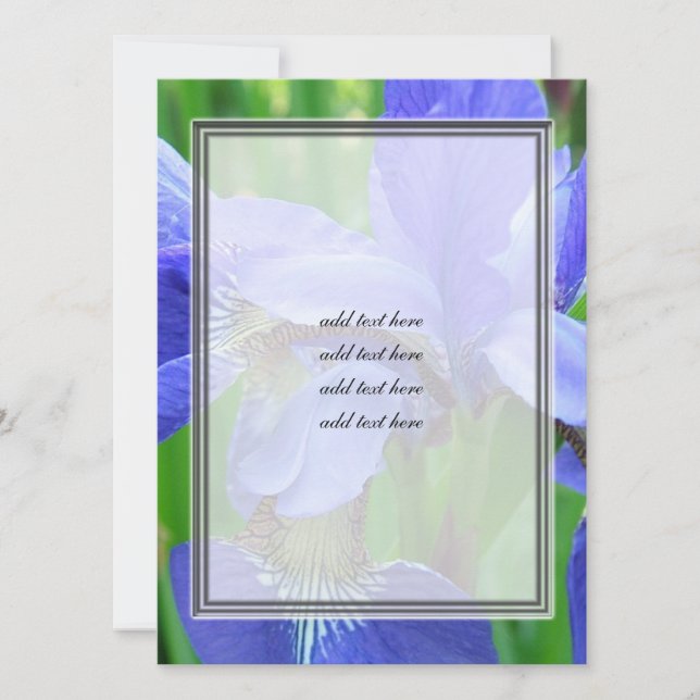mooie blauwe iris bloemen (Voorkant)