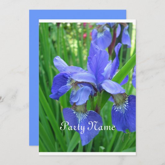 Mooie blauwe iris en groene bladeren kaart (Voorkant / Achterkant)